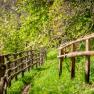 Natur genießen., © Wiener Alpen / Christian Kremsl