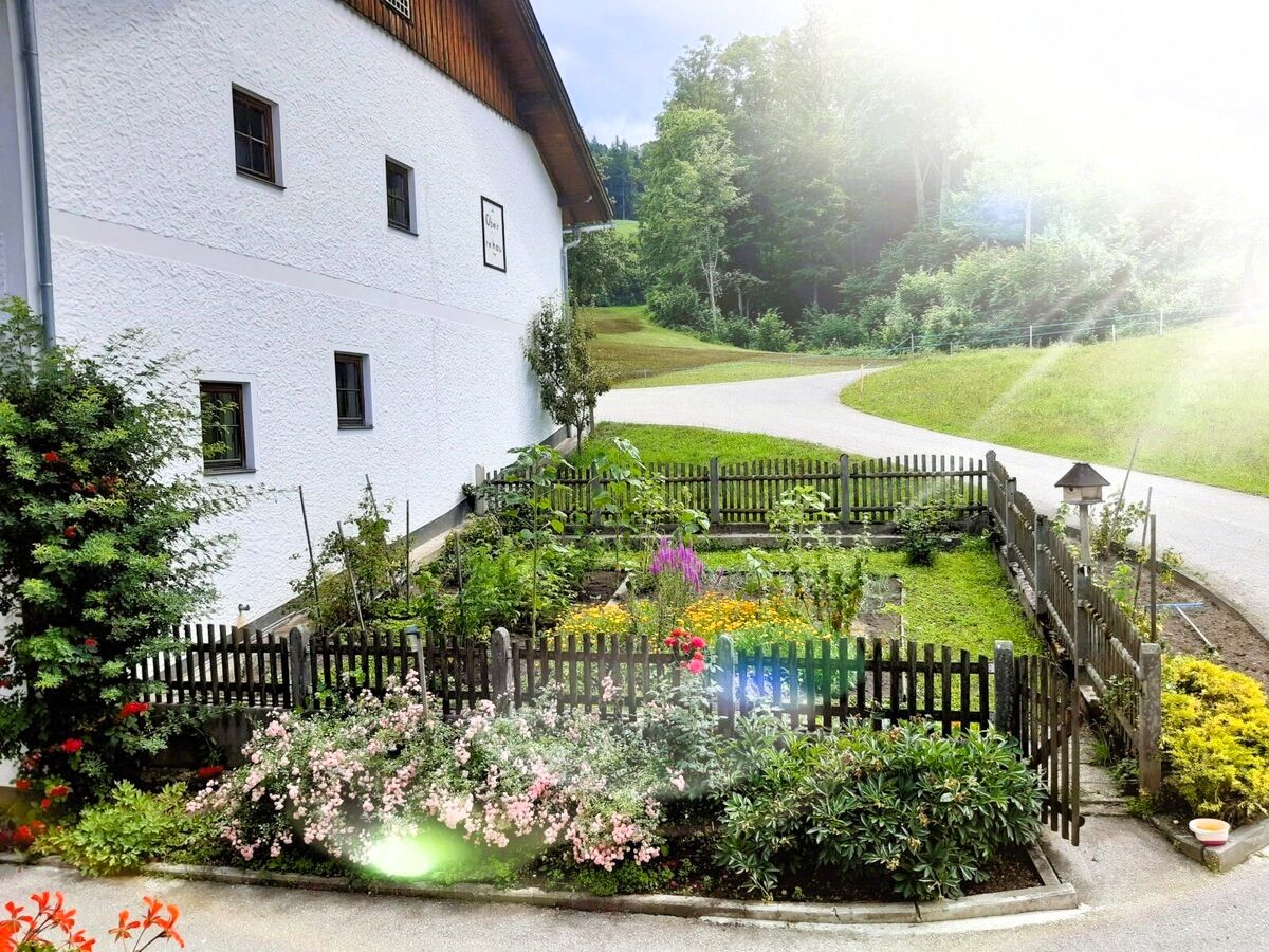 Vacation on the farm-Oberrehau