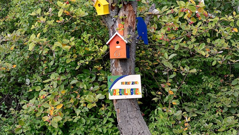 A tree trunk with colorful birdhouses and a sign with the inscription 'Vogelhotel' (bird hotel) in the midst of green foliage.