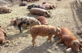 Binder Bio, © Binder Bio