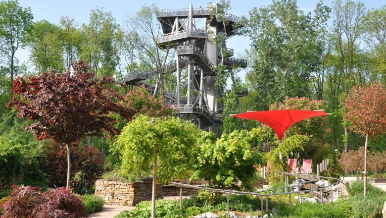 A treetop walk with a high, modern metal tower in a green wooded area.