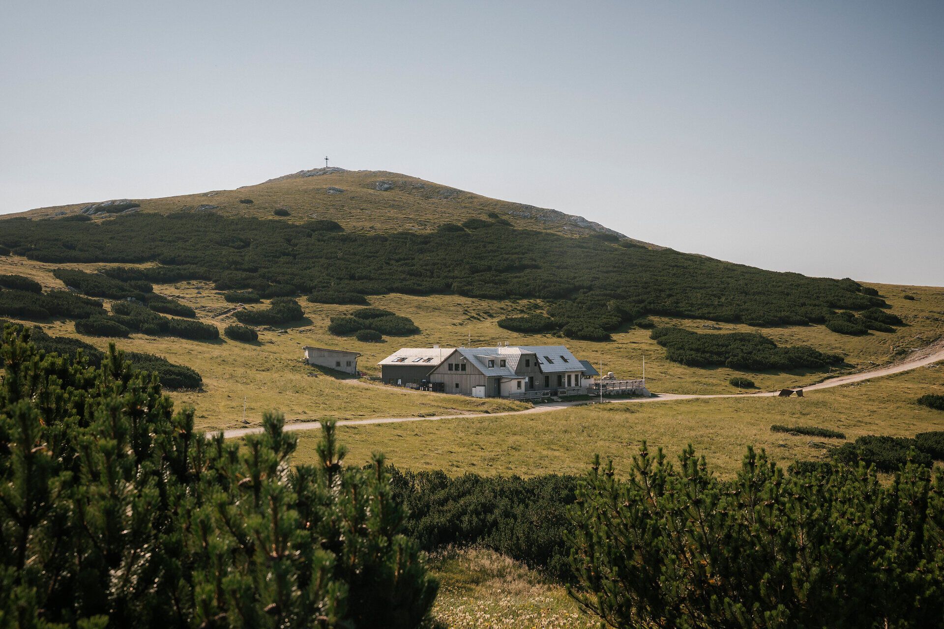 View of the Damböckhaus on Schneeberg, surrounded by green alpine meadows