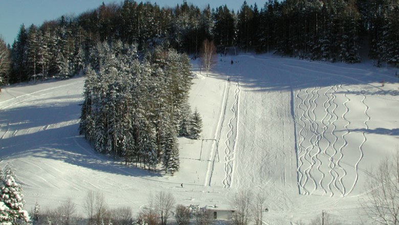 Snow-covered ski slope with forest in the background.
