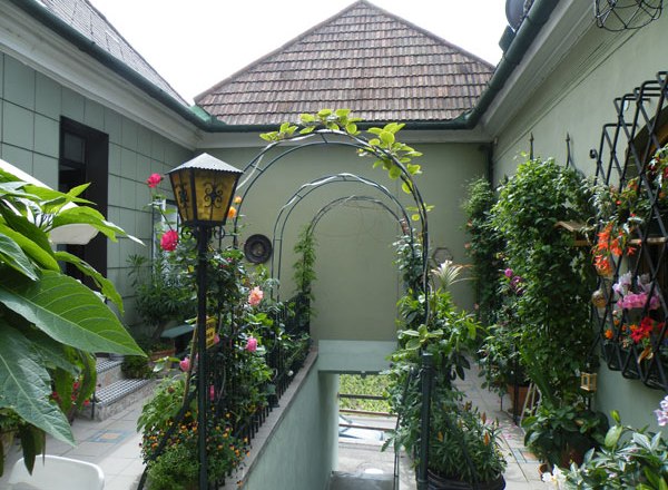 A landscaped terrace with plants and an arched entrance.