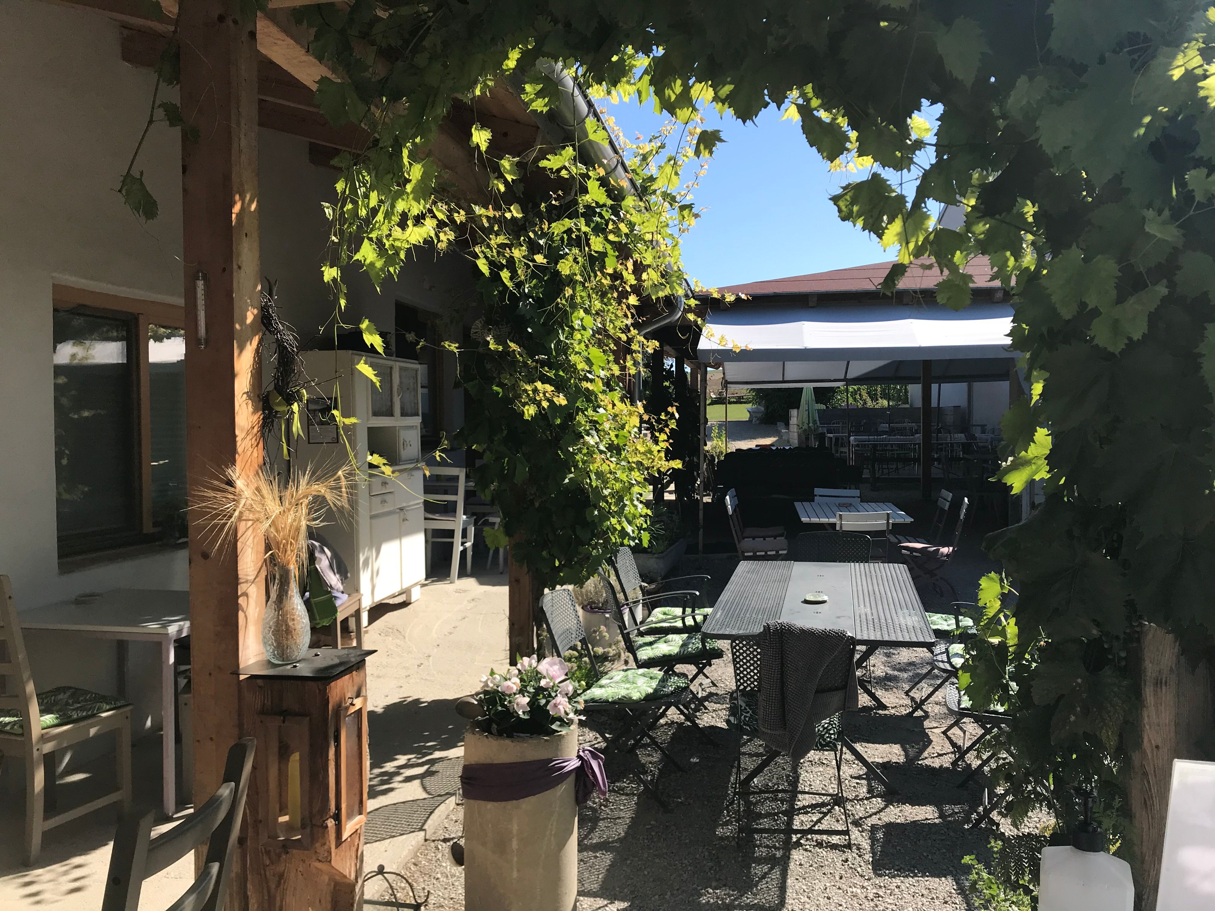 A cozy guest garden with tables and chairs, surrounded by green vines and sunshine.