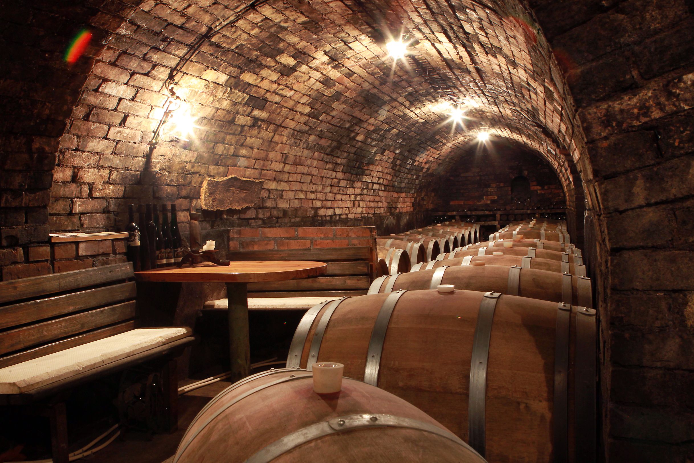 A wine cellar with wooden barrels and a table with benches.