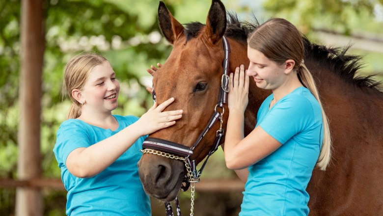 Riding school holidays, © Andreas Hofer