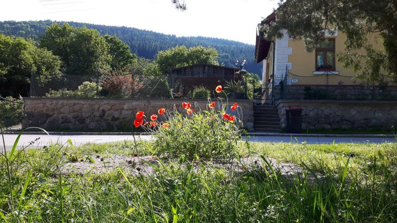Vacation apartment Grauszer, © dmgrauszer A yellow house with a garden and poppies in the foreground, surrounded by trees and hills.