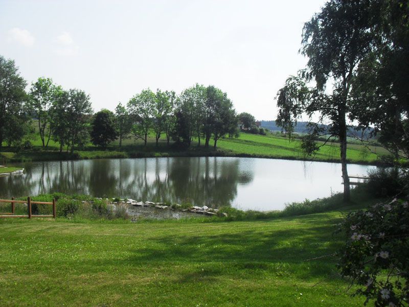 Sallingberg local pond