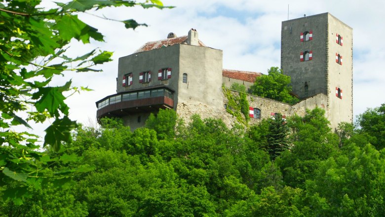 Burg Greifenstein, © Donau Niederösterreich