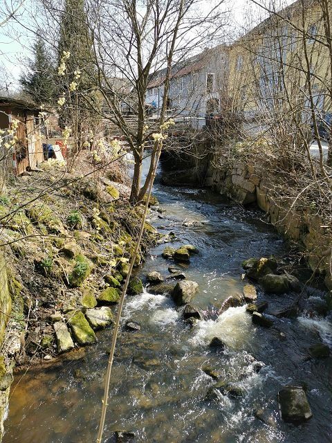Heidenreichstein, Romaubach