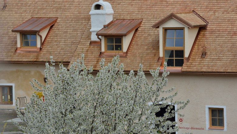 Flowering tree in front of a traditional house with dormer windows in Dürnstein.