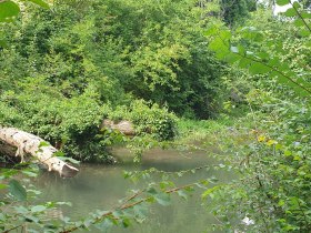 Kleine Au, Fischamend, &copy; Unknown