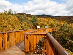 Baumwipfelweg Althodis, &copy; Unknown