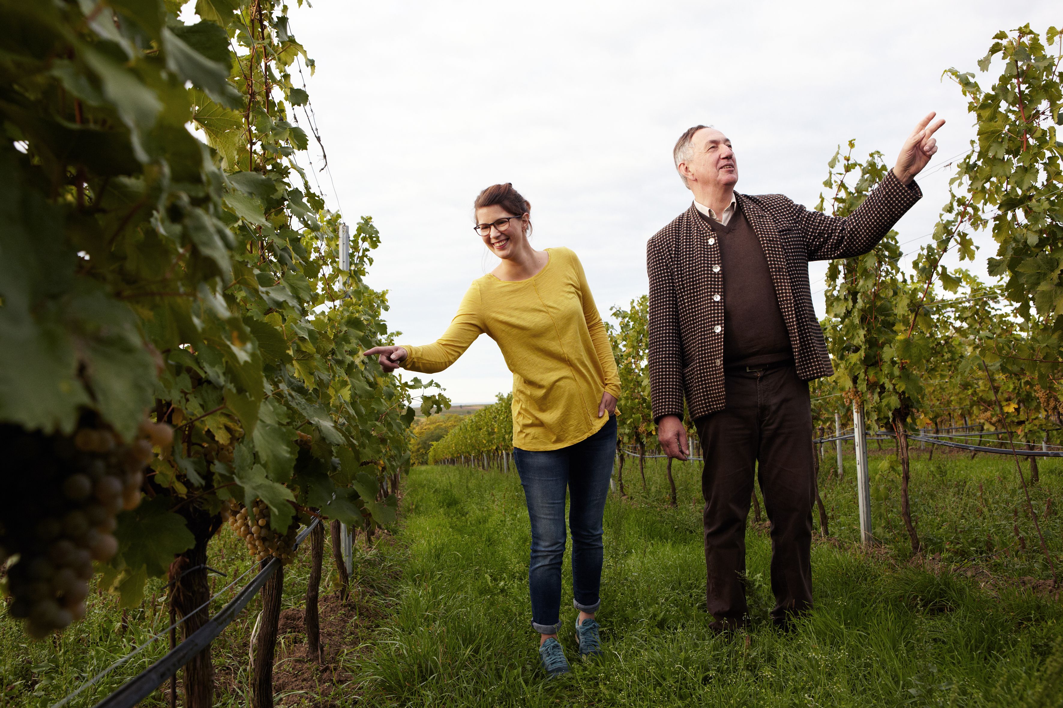 Two people are standing in a vineyard looking at the vines.