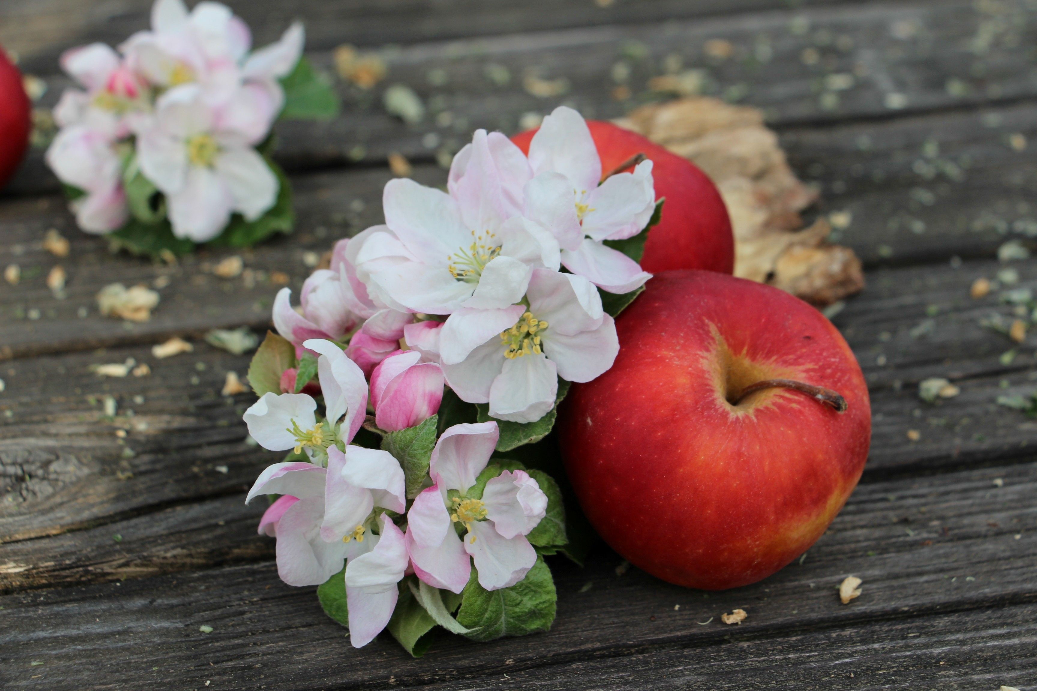 Harm Cider & fruit juice