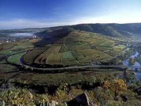 Manhartsbergweg - Sch&ouml;nberg am Kamp, &copy; &copy; F. Gangelmayer