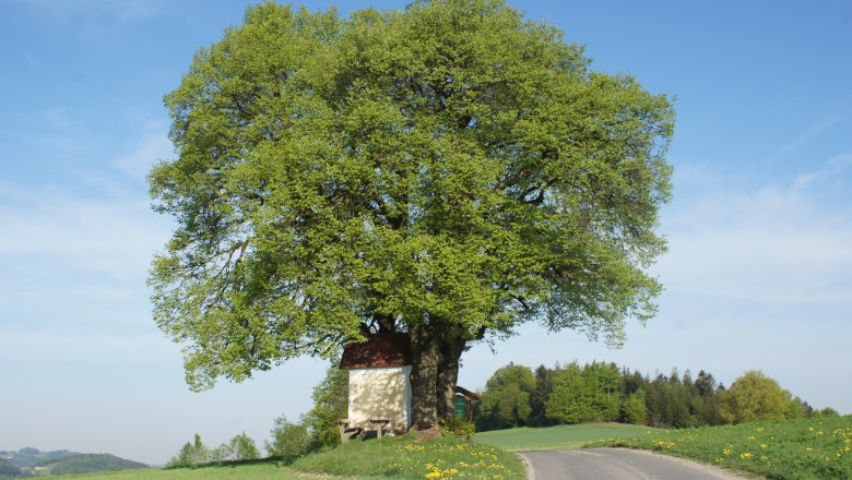 Brandstetter cross, &copy; Gemeinde N&ouml;chling
