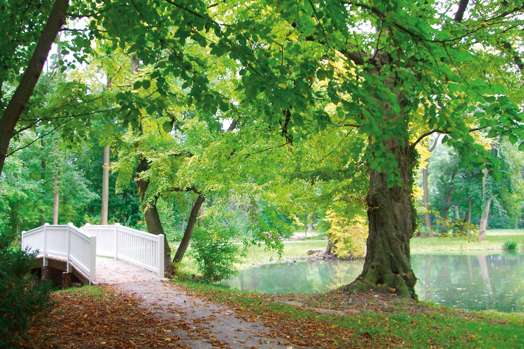 Harrach Park