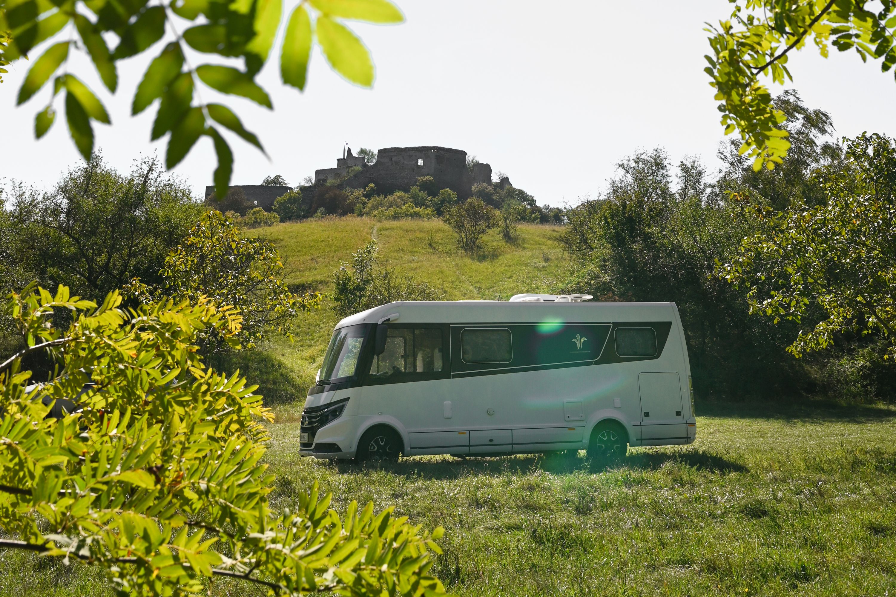 Motorhome on a meadow in front of a castle ruin in Falkenstein.