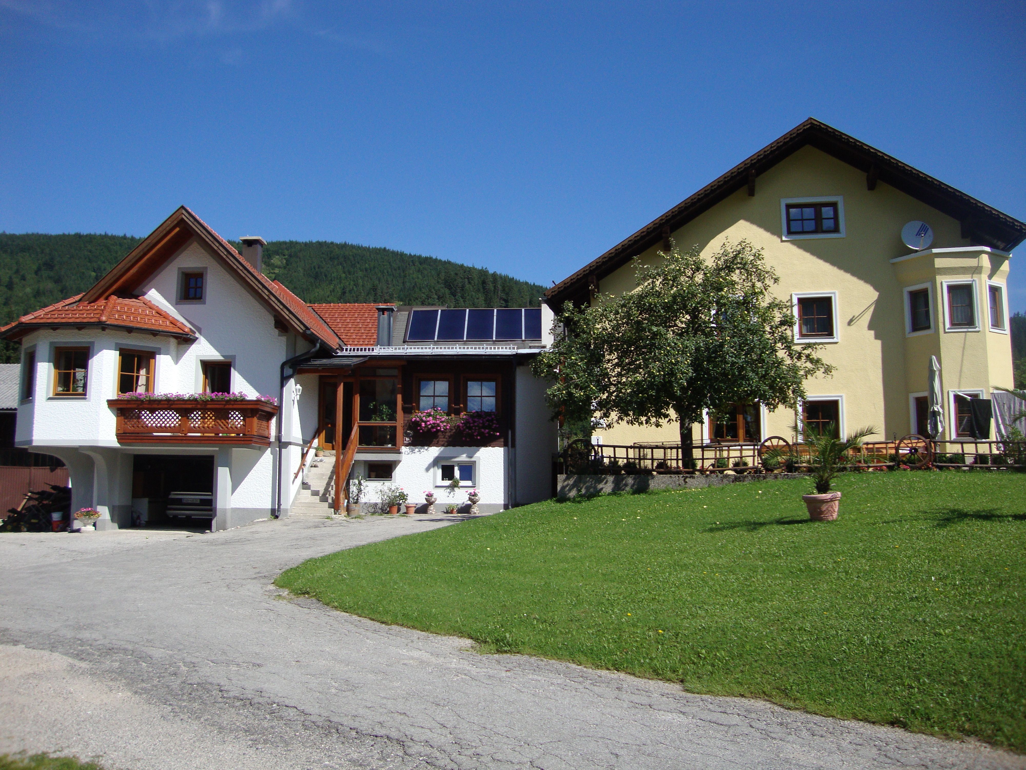 Two houses with a garden and flowering plants, blue sky in the background.