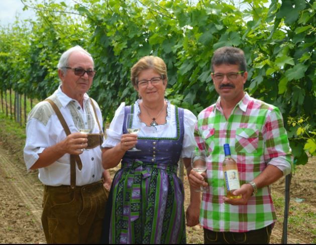 Viticulture Angerhof