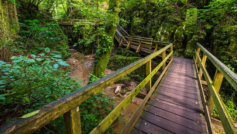 Wooden footbridges in the green Johannesbach gorge.