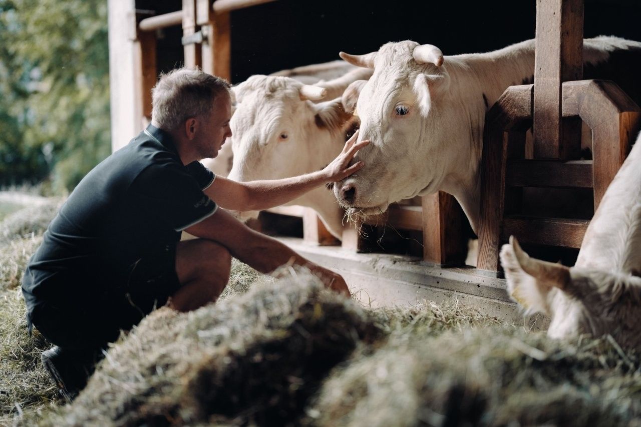 Tavern & farm store Hauer