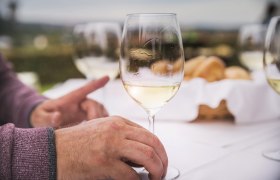 Wine enjoyment, &copy; Daniela Matejschek