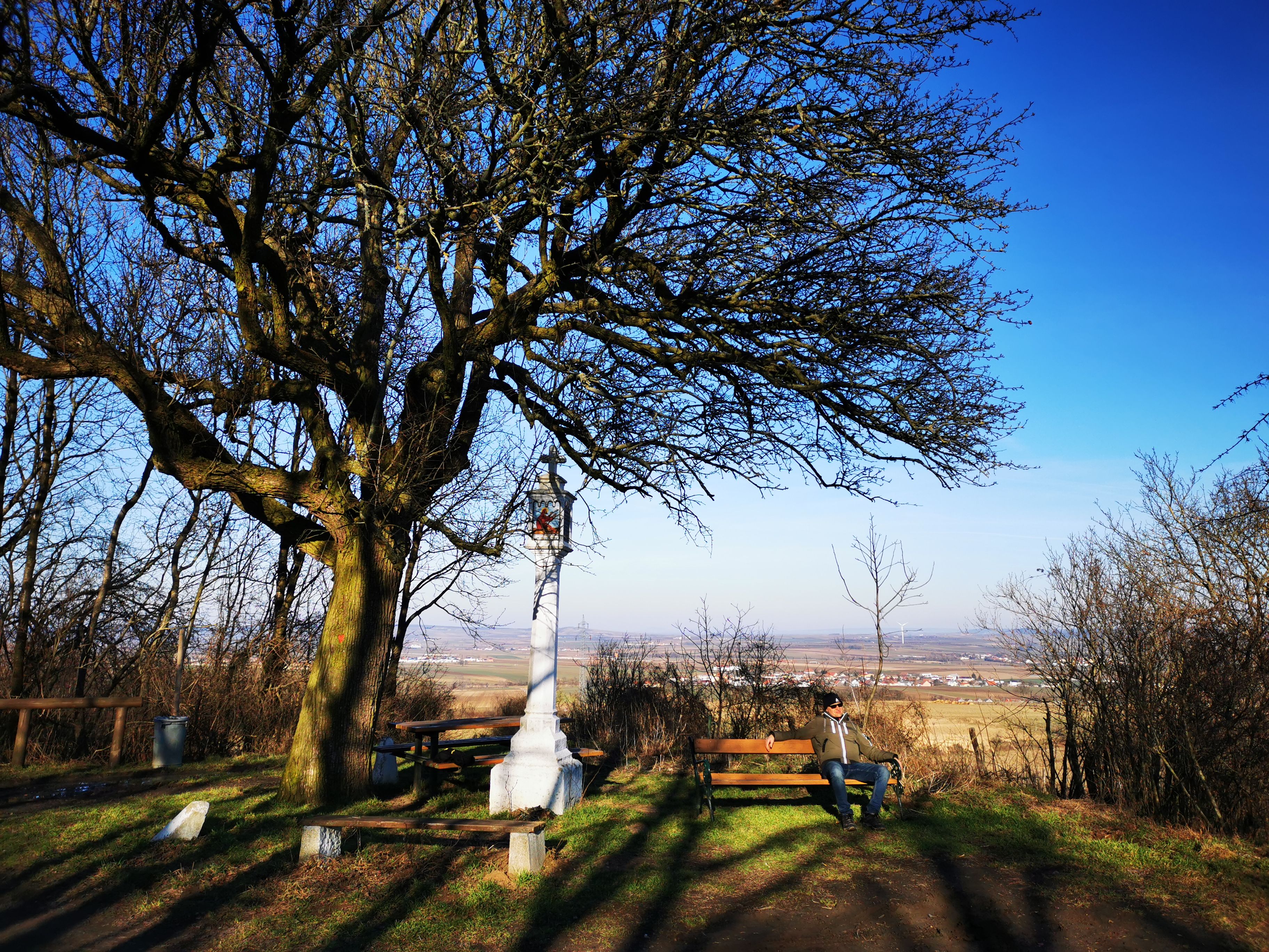 A man sits on a bench under a large tree with a view of a vast landscape.