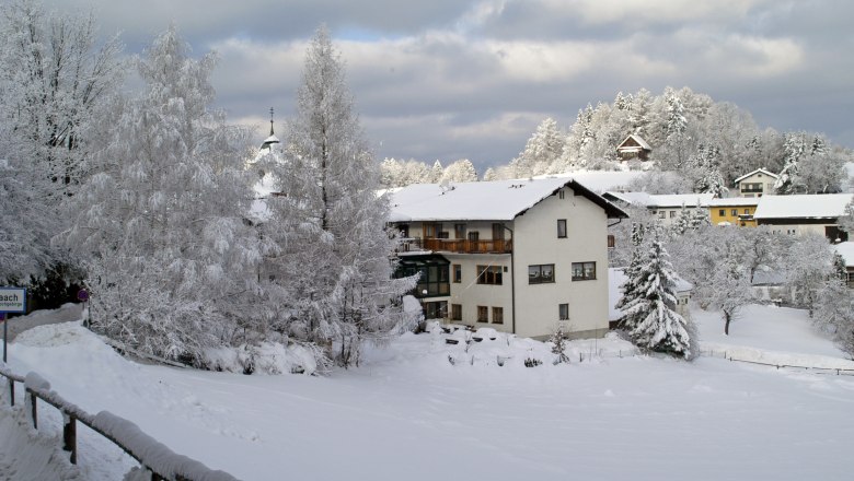 Winter landscape with snow-covered inn and trees.