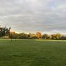 Autumn landscape with trees in a meadow at sunset.