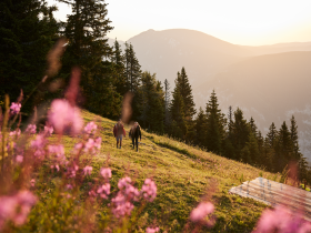 Rax, Wandern, Raxalpe, Wiener Alpen in Nieder&ouml;sterreich, &copy; Nieder&ouml;sterreich Werbung/Stefan Mayerhofer