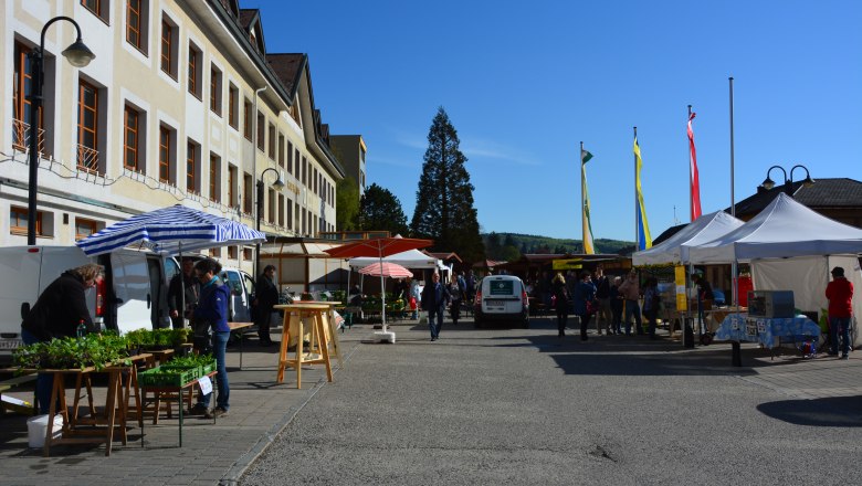 An organic farmers' market in a square with stalls, people and a large building in the background.