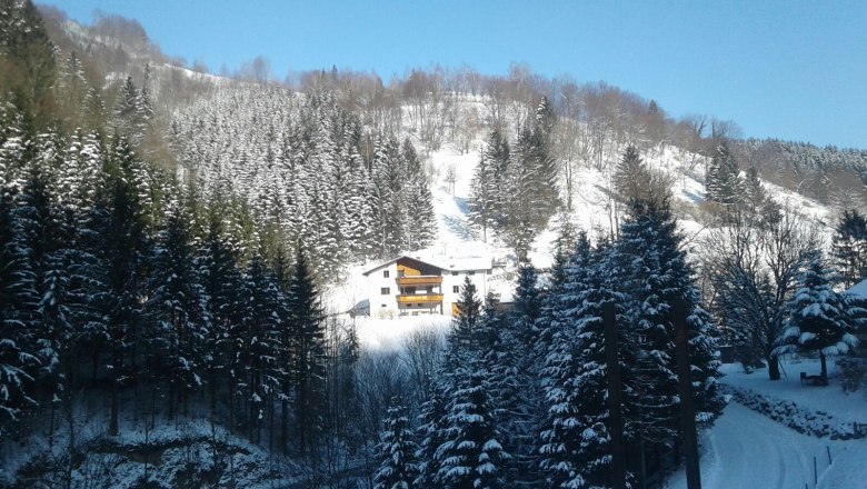 House Landscape, © Reisenbichler