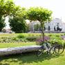 Two bicycles are parked on the green banks of the Danube, with the town hall visible in the background