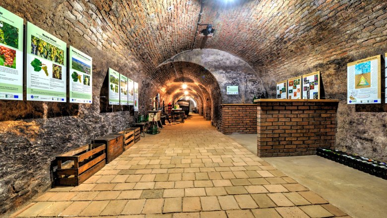 A historic wine cellar with brick vaults and information posters on the walls.