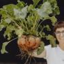 Woman holding a large turnip with leaves.