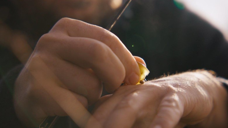 In the vineyard, &copy; Winzer Mike N&auml;hrer