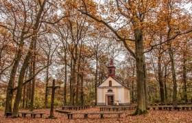 A small chapel in the forest, surrounded by autumnal trees and leaves on the ground.