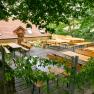 An empty beer garden with wooden benches and tables, surrounded by trees and a building with a red roof in the background.