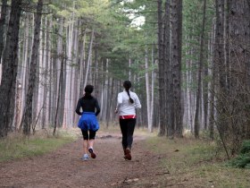Laufstrecke F&ouml;hrenwald, &copy; Wiener Alpen in Nieder&ouml;sterreich - Semmering Rax