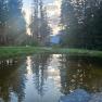 A small pond in the forest reflects the trees and the sky, while the sun's rays shine through the trees.