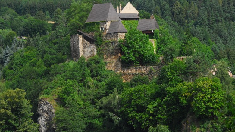 Castle surrounded by trees on a hill.