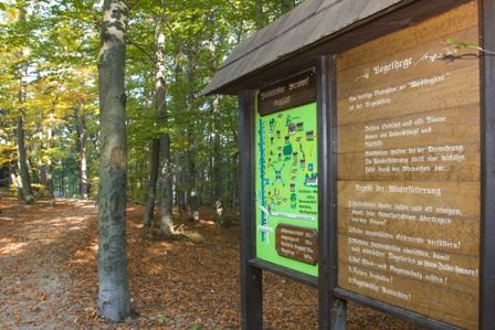 Forest nature trail with information board in the forest.