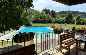 Swimming pool with water and meadow around it