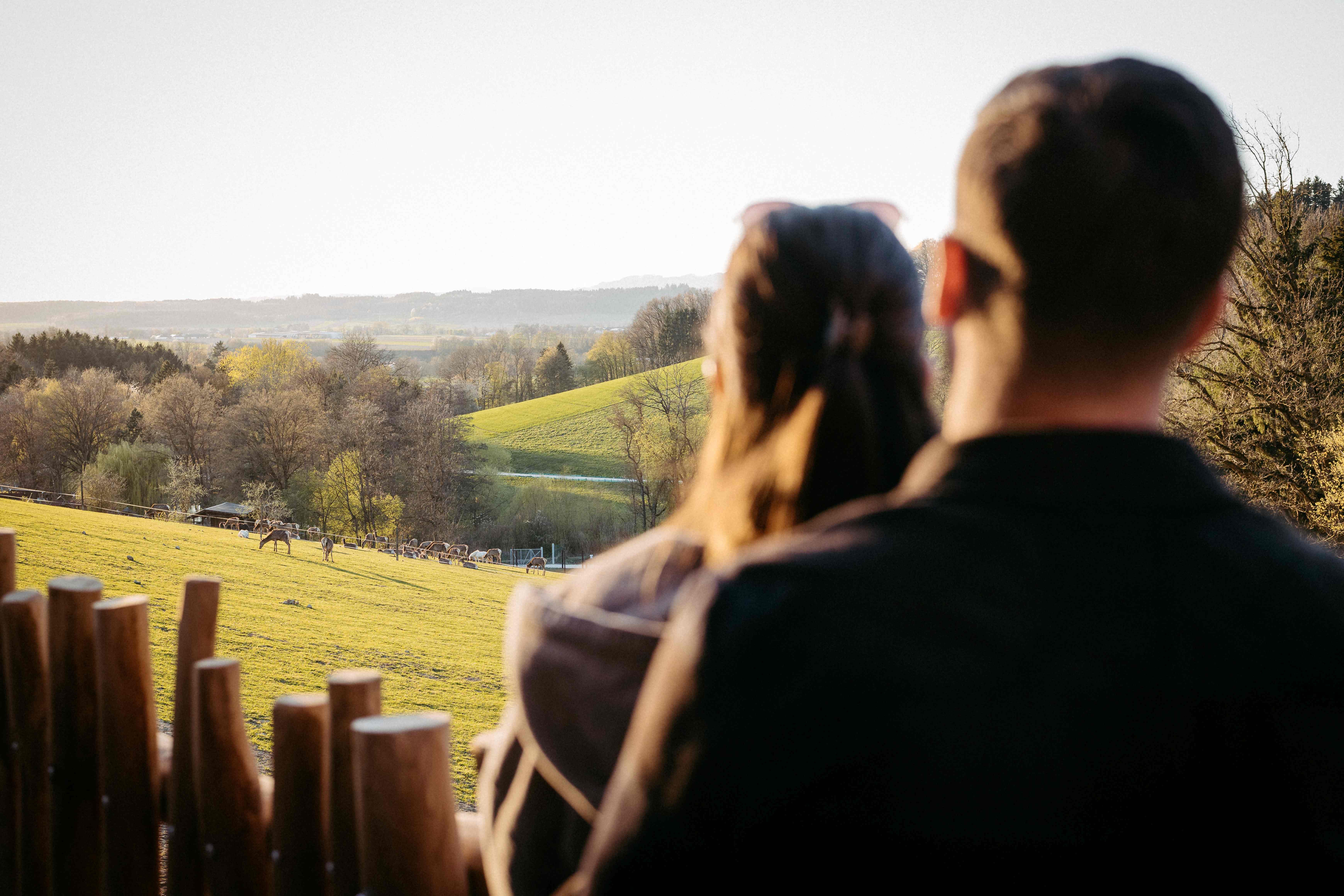 Game Park Lodges