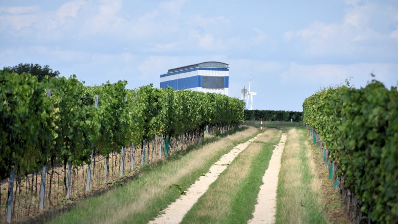 Dionysosweg, © StadtGemeinde Mistelbach / Mag. Mark Schönmann