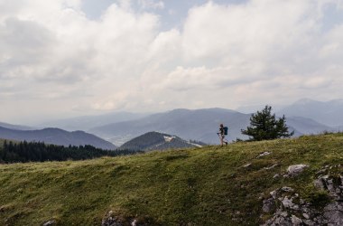 Let your mind (and feet) wander while hiking long distances., © Niederösterreich Werbung/Franziska Consolati