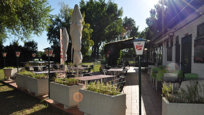 Sunny terrace with empty tables and chairs, surrounded by plants and parasols.